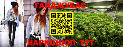 амф Заволжье