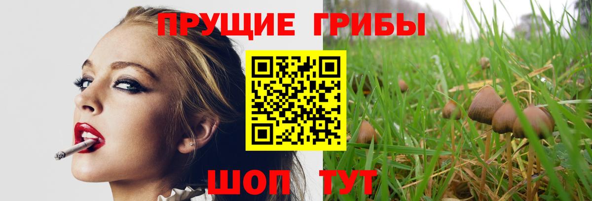 Люберцы  Галлюциногенные грибы ЛСД  Вход с VPN  Галлюциногенные грибы Psilocybe 